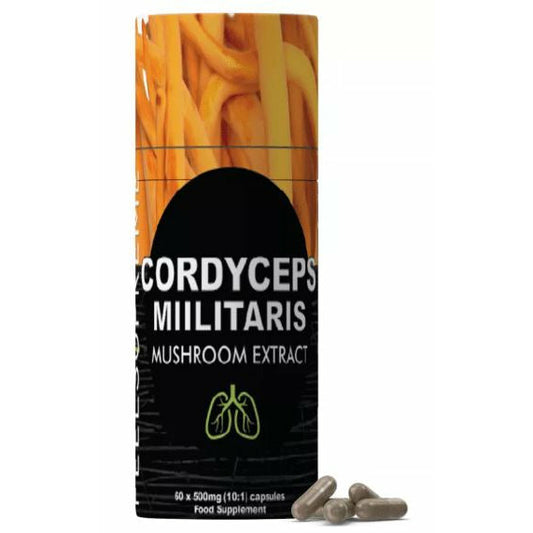 Cordyceps Militaris 60 Capsules