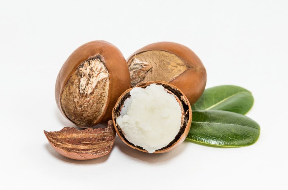 Gaia Health Store Shea Butter Recipes