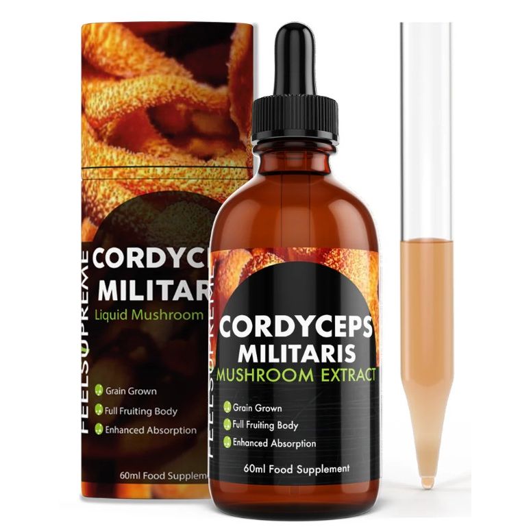 Cordyceps Militaris Tincture