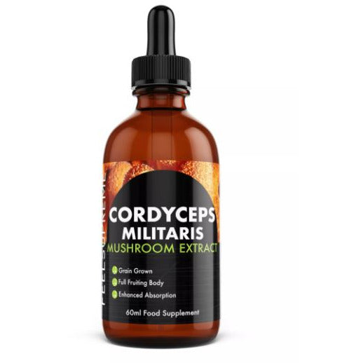 Cordyceps Militaris Mushroom Liquid – 60ml